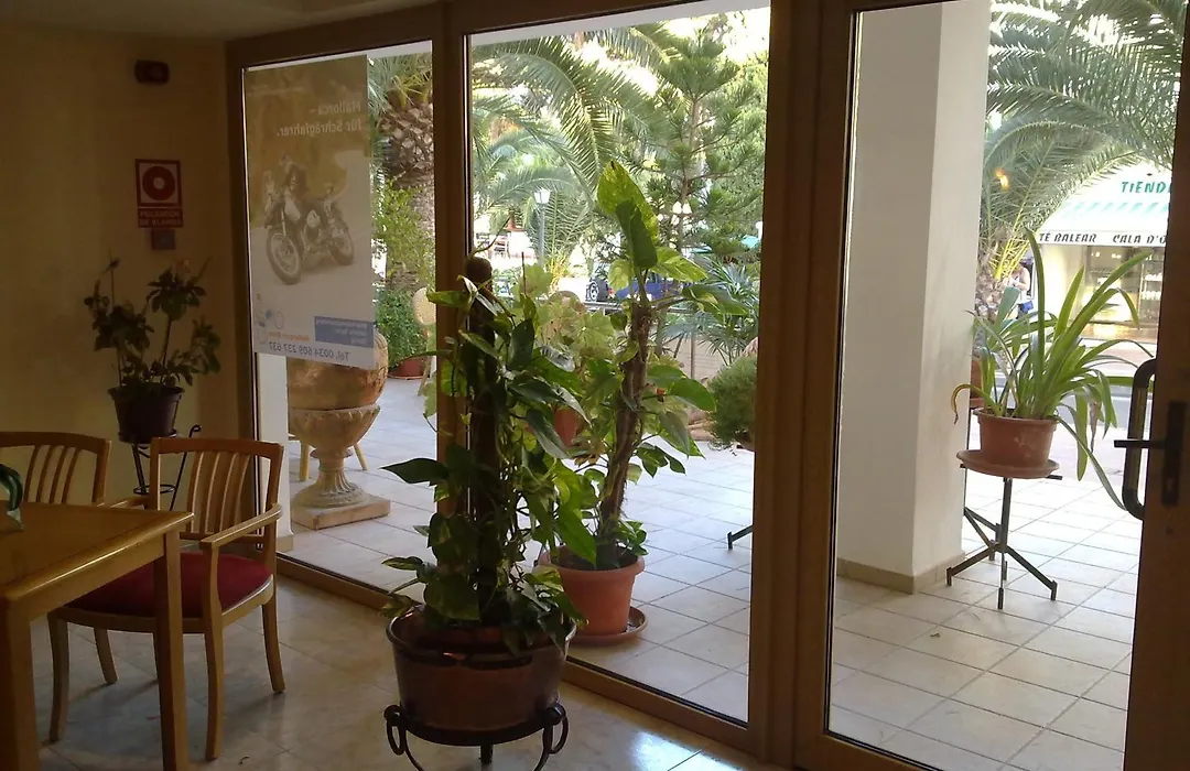 Hostal Leo D'Or-1